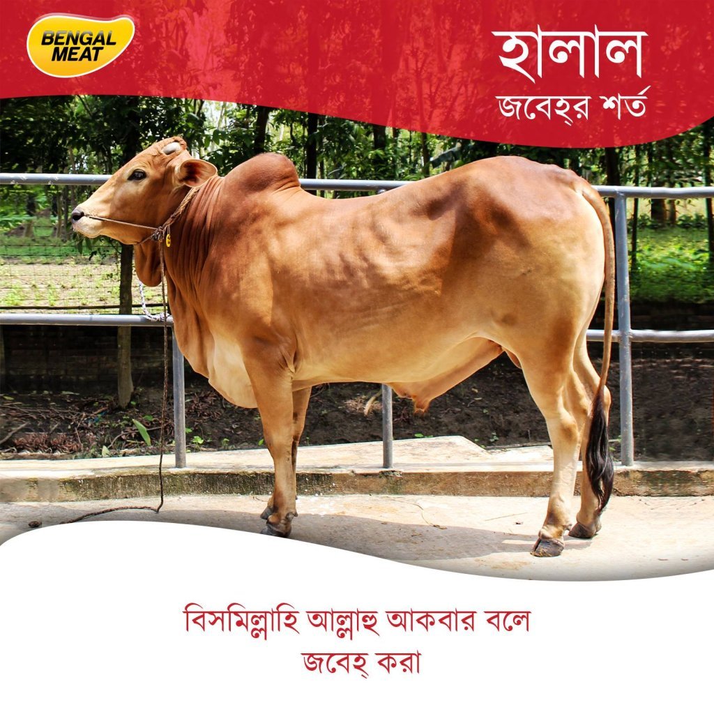 Halal Qurbani by Bengal Meat